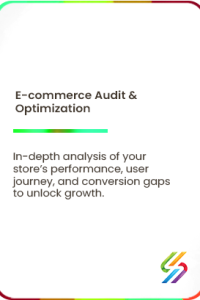 E-commerce Audit & Optimization